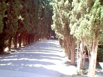 Granada-Algeciras-Tetuan0012